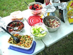 July 12 Indian Shores Annual Picnic