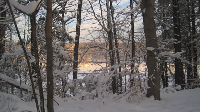 Jan 15 X-Country Ski Girls