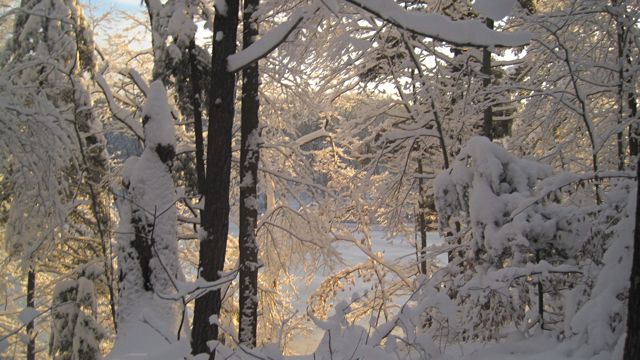 Jan 15 X-Country Ski Girls