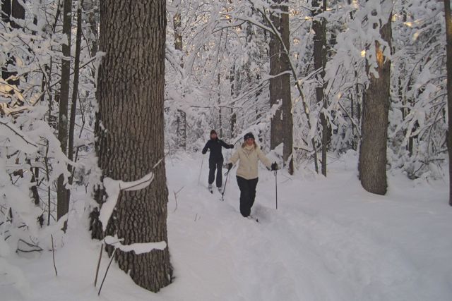 Jan 15 X-Country Ski Girls