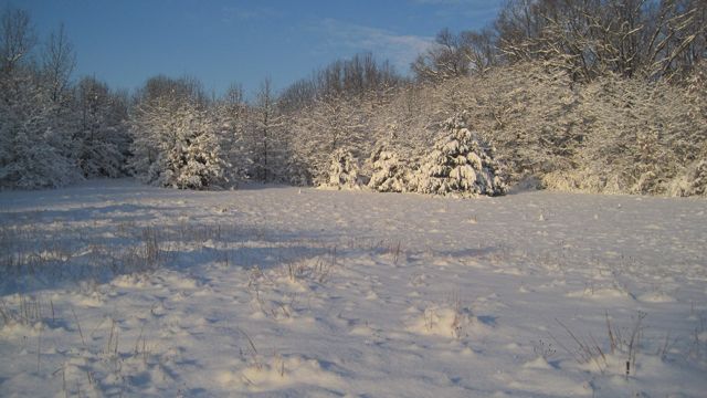 Jan 15 X-Country Ski Girls