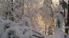 Jan 15 X-Country Ski Girls