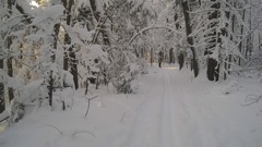 Jan 15 X-Country Ski Girls