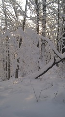 Jan 15 X-Country Ski Girls