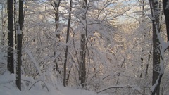 Jan 15 X-Country Ski Girls