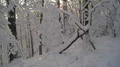 Jan 15 X-Country Ski Girls