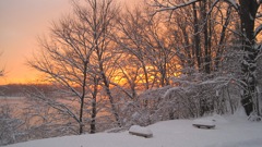 Jan 15 X-Country Ski Girls