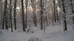 Jan 15 X-Country Ski Girls