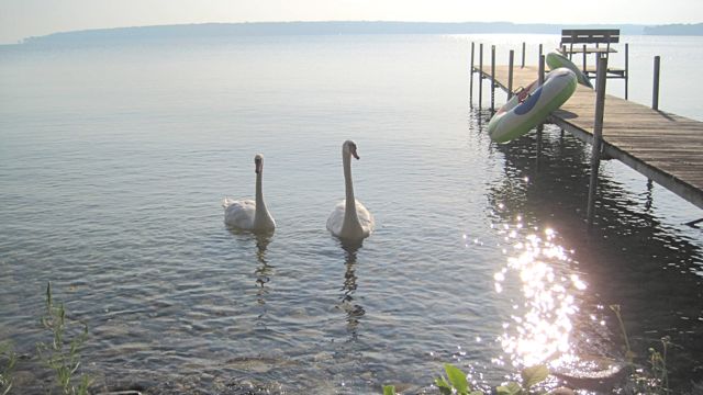 July 22 Girls Kayak on Lake Mullet