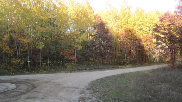 Oct 16 Horse Ride with Girls