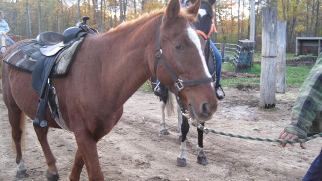 Oct 16 Horse Ride with Girls