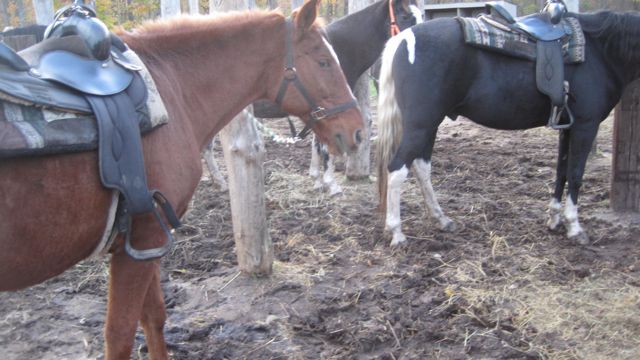 Oct 16 Horse Ride with Girls