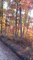 Oct 16 Horse Ride with Girls