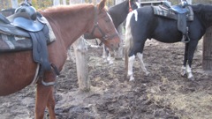 Oct 16 Horse Ride with Girls