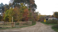 Oct 16 Horse Ride with Girls