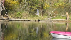 Oct 2 Kayak Scenery Krys & Tara