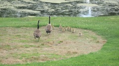 May 25 golf with girls