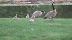 May 25 golf with girls