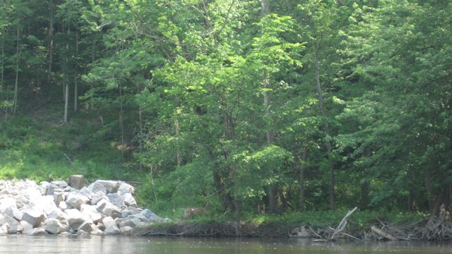 May 27 Kayak with Girls