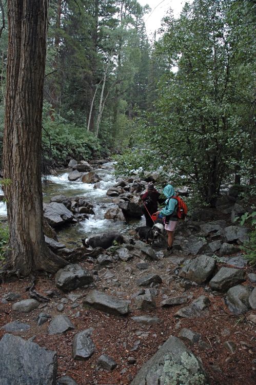 Aug 1 Colorado 2013 Day 5 Nikon