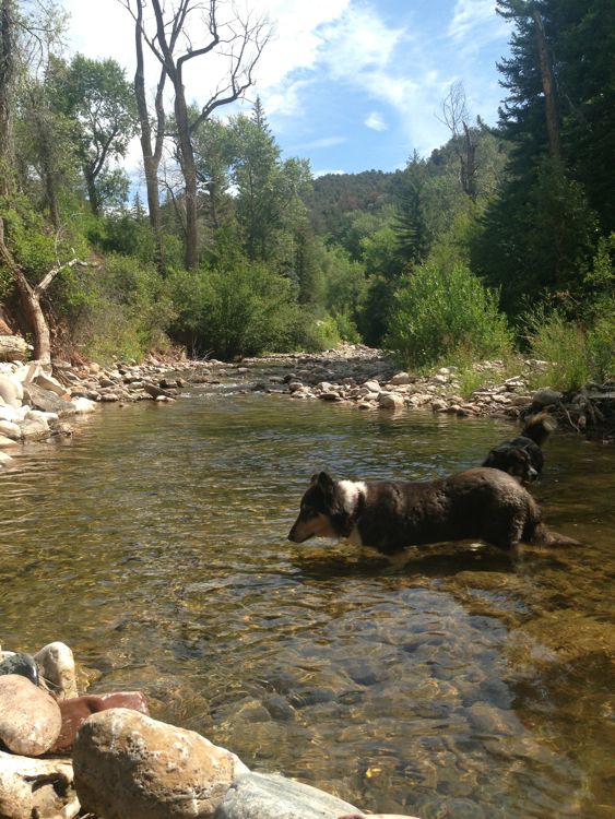 Aug 5 Colorado 2013 Day 9