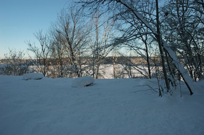 Jan 24 Snow at Home