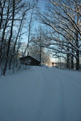 Jan 24 Snow at Home