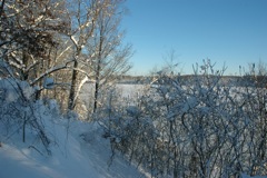 Jan 24 Snow at Home