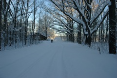 Jan 24 Snow at Home