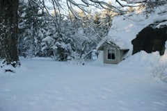 Jan 24 Snow at Home