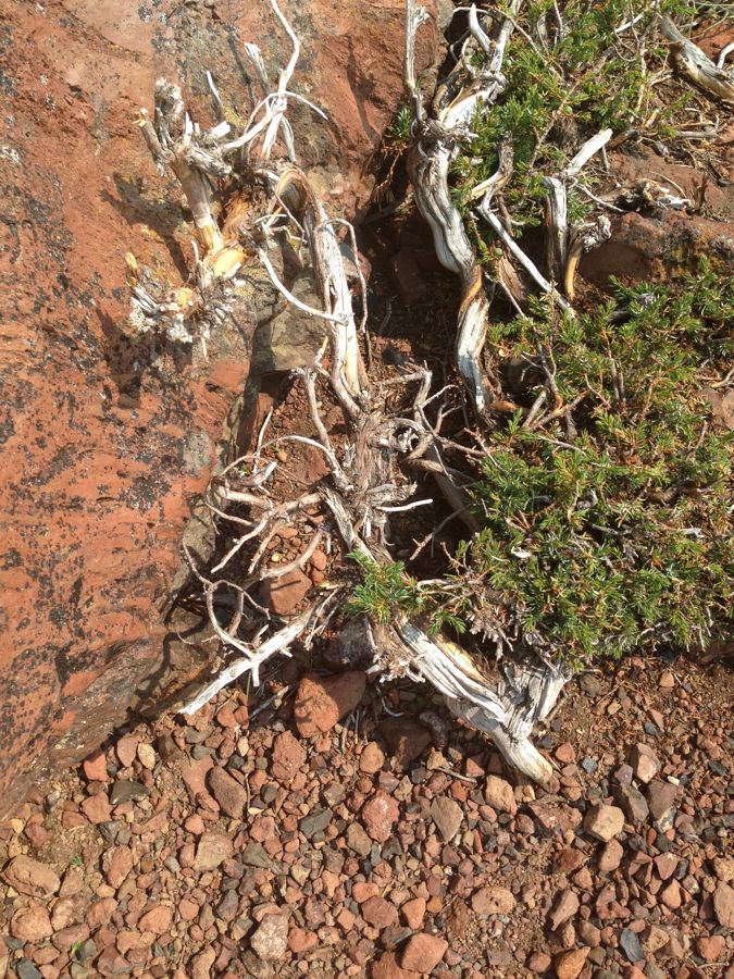 Aug 2 Hike Near Bend