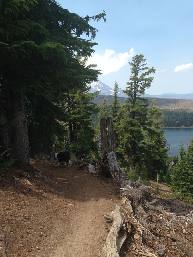 Aug 2 Hike Near Bend