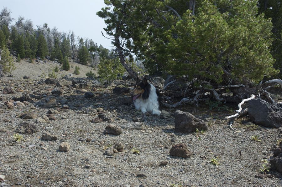 Aug 2 Hike Near Bend