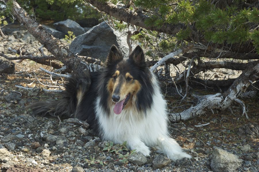 Aug 2 Hike Near Bend