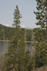 Aug 2 Hike Near Bend