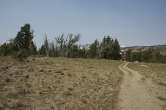 Aug 2 Hike Near Bend