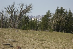 Aug 2 Hike Near Bend