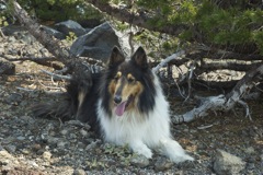 Aug 2 Hike Near Bend