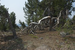 Aug 2 Hike Near Bend