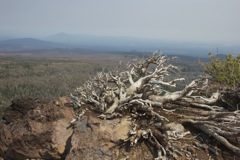 Aug 2 Hike Near Bend