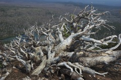 Aug 2 Hike Near Bend