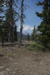 Aug 2 Hike Near Bend