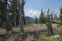 Aug 2 Hike Near Bend