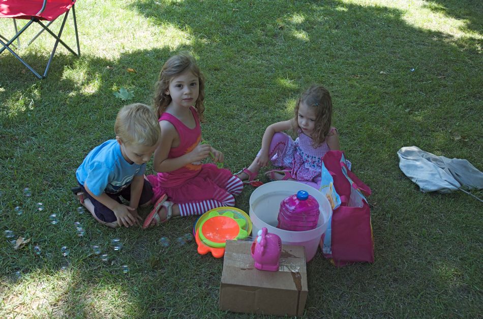 July 13 Helmbolt Picnic 2014