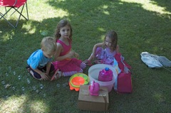 July 13 Helmbolt Picnic 2014