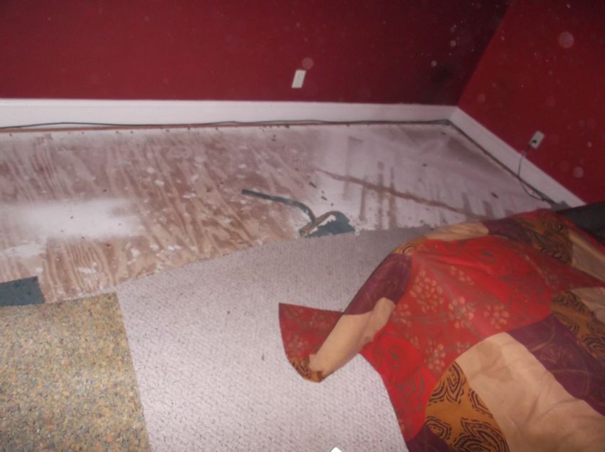 July 29 Remodel 2015 Carpet