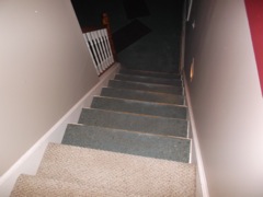 July 28 Remodel 2015 Carpet