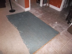 July 28 Remodel 2015 Carpet