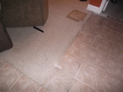 July 28 Remodel 2015 Carpet