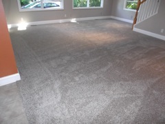 July 31 Carpet Finished Ah!!